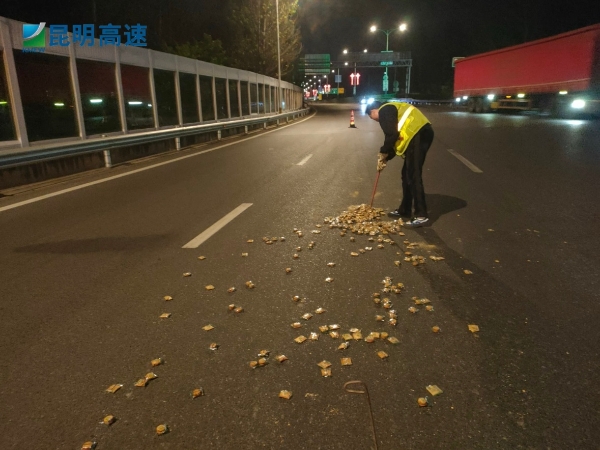 路巡处置